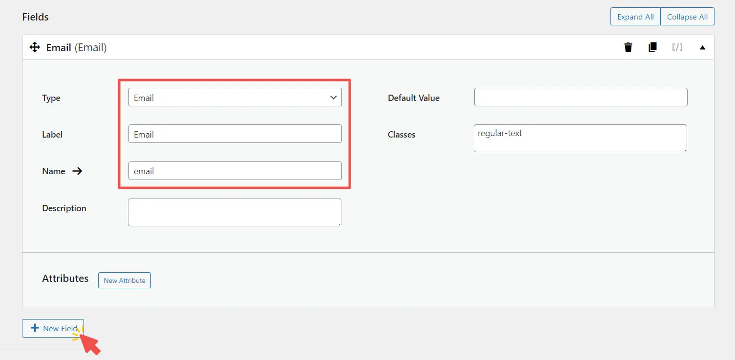 Email Field Settings